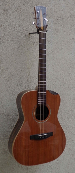 Chitarra Acustica Toscano 1