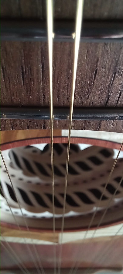 chitarra Battente Bressi 29